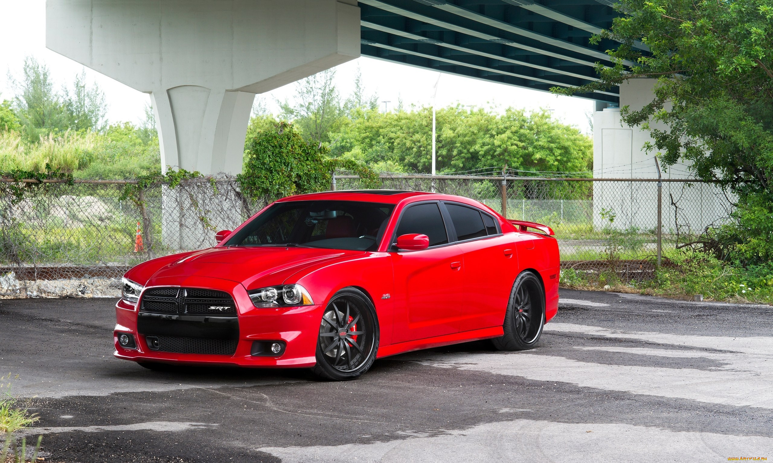 , dodge